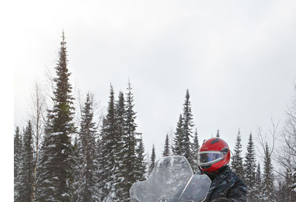 �������� ����� 800 �������� ����