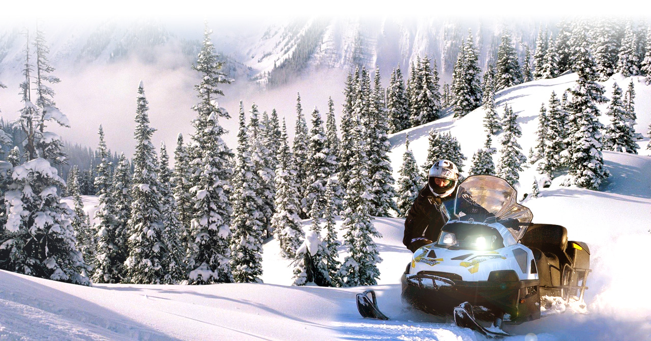 �������� ����� ������ 600 ������