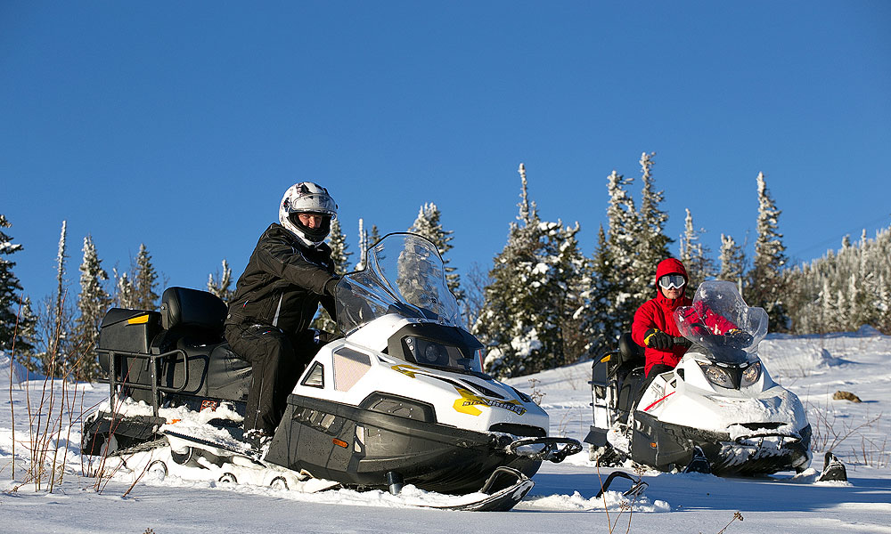 �������� ����� ������ 800 �����