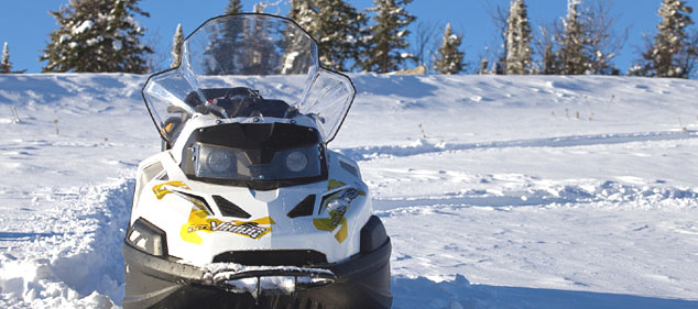 �������� ����� ������ 800 2016 ���� ����